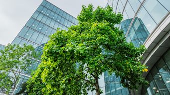 (San Fernando Valley Business Journal) Firm Taps Legal Talent From Within