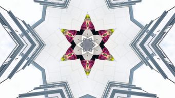 Central Bank Regulatory & Supervisory Outlook 2026: Funds sector impact