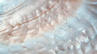 US sanctions Russian oil majors