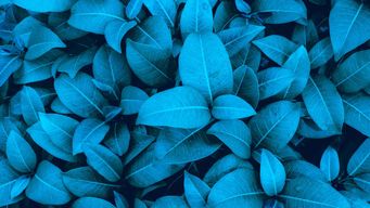 FY26 National Defense Authorization Act Signed Into Law: What Government Contractors Need to Know