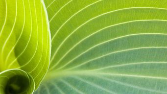 Renters’ Rights Act 2025 – Royal Assent received, but timescale and regulatory details awaited