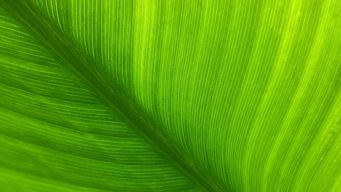 Transfer pricing: new HMRC guidance raises the bar for benchmarking studies