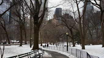 Federal Reserve Researchers Find Prediction Markets Deliver Forecasting Value Comparable to Professional Surveys and Futures