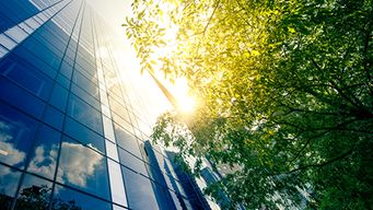 Greenwashing in the spotlight - recent developments in the Netherlands