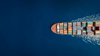Admiralty Case Outcome: Claims Against Staffing Employer Dismissed