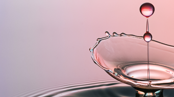 Short-Term Business Visitors – are you ready to submit your Appendix 4 report?