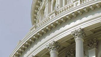 Political Law Playbook – October 2025