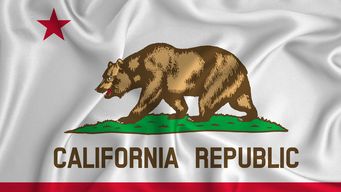 (Los Angeles Times) Don’t bet on it. Wagering on the Super Bowl is illegal in California
