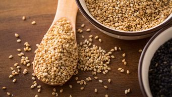 The U.S. Government Says “Open Sesame”: How Science Informs the Regulatory Process