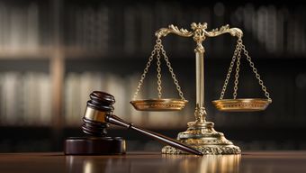 Back to the Hive: DOJ Revisits FDCA Charges in Trade Fraud Enforcement