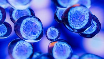 MHRA Launches the 2025 Pilot Real-World Evidence Dialogue Programme – Implementing Broader Data Strategy and Pro-Innovation Regulatory Framework