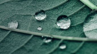 Staleness refreshed: delay and abuse of process in the FTT