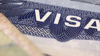 Fiscal Policy and Trade Tensions in Focus