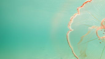 Register of overseas entities: "removal" doesn't mean removal