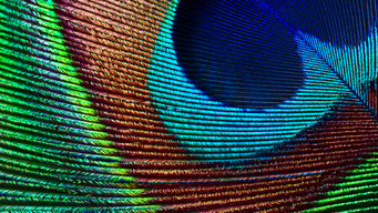 A little less conversation, a little more action