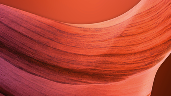 UK Government announces significant immigration changes for 2024