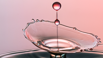 Employment tax update - October 2025