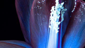 New frontiers of English law: UKJT publishes legal statement on digital securities