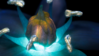 Global tax transparency – another development