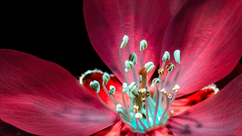 Lessons from the crypto-crash: the risks of transacting with blockchains