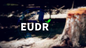 US House Democrats and the Administration Deliver Opposing Messages on the EU Deforestation Regulation; Clarity Around the Corner?