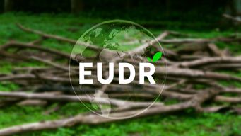 EU Deforestation Regulation Delegated and Implementing Acts Adopted – Compliance Begins December 30
