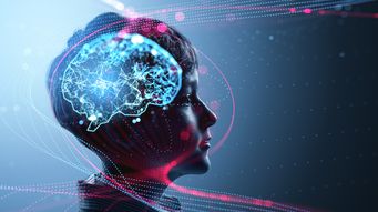 The Human Brain's Hidden Split Personality