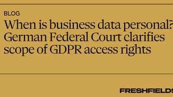 When is business data personal? German Federal Court clarifies scope of GDPR access rights