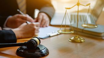 Foxes or Hedgehogs: Evolving Taint Team Jurisprudence (Compliance & Enforcement)