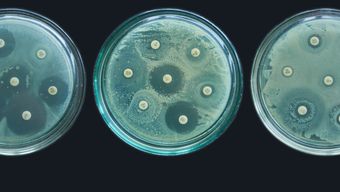 Combatting antimicrobial resistance