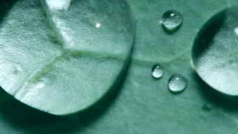 Need to know: nudge letters