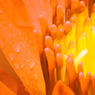 Single Family Housing – where has it come from and where is it heading?