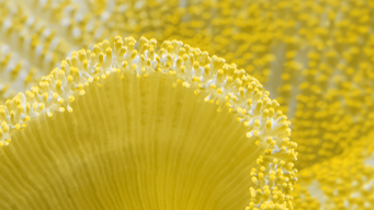 Policy in practice: pre-election 2024 – ESG