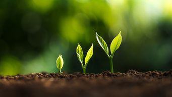 The Jujitsu of Growth: How Supergrowers Turn Disruption into Competitive Advantage