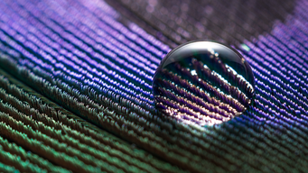 The missing cornerstone in sustainable finance: investee company ESG reporting