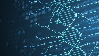 Challenges and opportunities: A global review of regulatory developments surrounding AI and machine learning as devices in healthcare settings