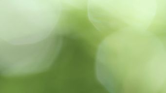 Navigating New Hemp Laws: A Major Shift for the Cannabis Industry