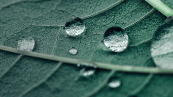 OFSI releases annual review citing largest financial sanctions penalty in UK history