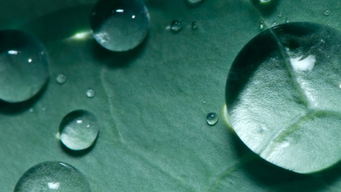 Need to know: settlements and alternative dispute resolution