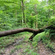 chtenff nilgh'ri kn'a