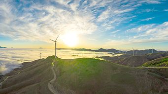 Climate change and human rights: a new chapter for States, NGOs, and businesses?