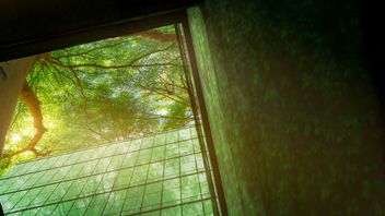 EU: Commission Notice on certain legal provisions under the Taxonomy Regulation 