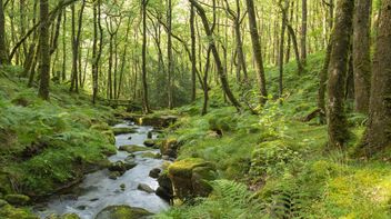 TNFD publishes list of nature disclosure early adopters 