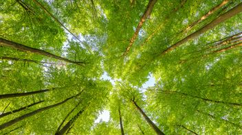 EU: ESMA sets out its long-term vision for sustainable investments 