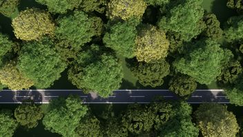 ESG corporate issues: M&A