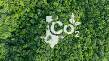 Spain requires large companies to report their carbon footprints and develop GHG emissions reduction plans