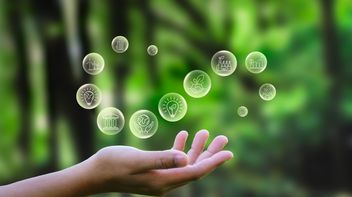 UK government proposals for overseeing third-party assurance of sustainability related financial disclosures