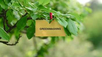 EU: ESMA sets out further guidance to combat greenwashing