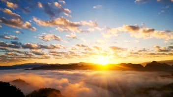 Transition Finance Market Review provides blueprint for unlocking transition finance in the UK and globally