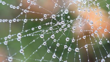 EU: Commission publishes delegated act on green hydrogen